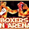 Boxers in Arena