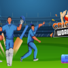 Cricket World Cup Game