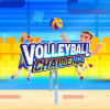 Volleyball Challenge