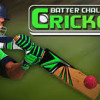 Cricket Batter Challenge
