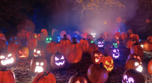 Ghostly Night Harvest