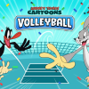 Looney Tunes Cartoons Volleyball