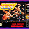 Natsume Championship Wrestling