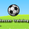 Soccer training