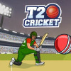 T20 Cricket