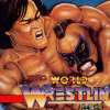 Tecmo World Wrestling