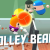 Volleyball Game – Volley Beans