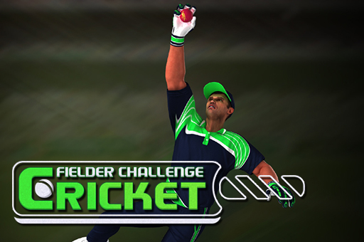 Cricket Fielder Challenge